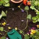 Guia para iniciantes em jardinagem: As ferramentas essenciais